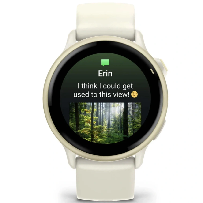 Смарт-часы Garmin Vivoactive 6 42mm (010-02985-01) Lunar Gold фото 6