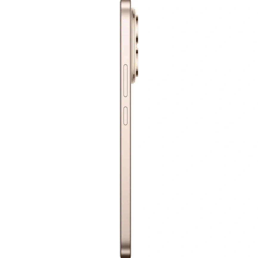 Смартфон Honor 400 8/256Gb Desert Gold фото 2